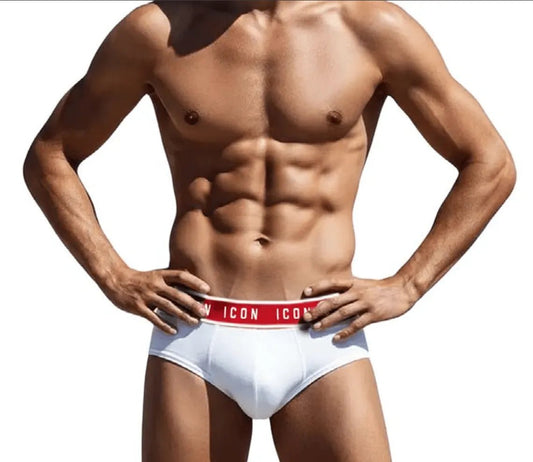 Confezione da 3 Slip uomo ICON cotone bielastico IMU03