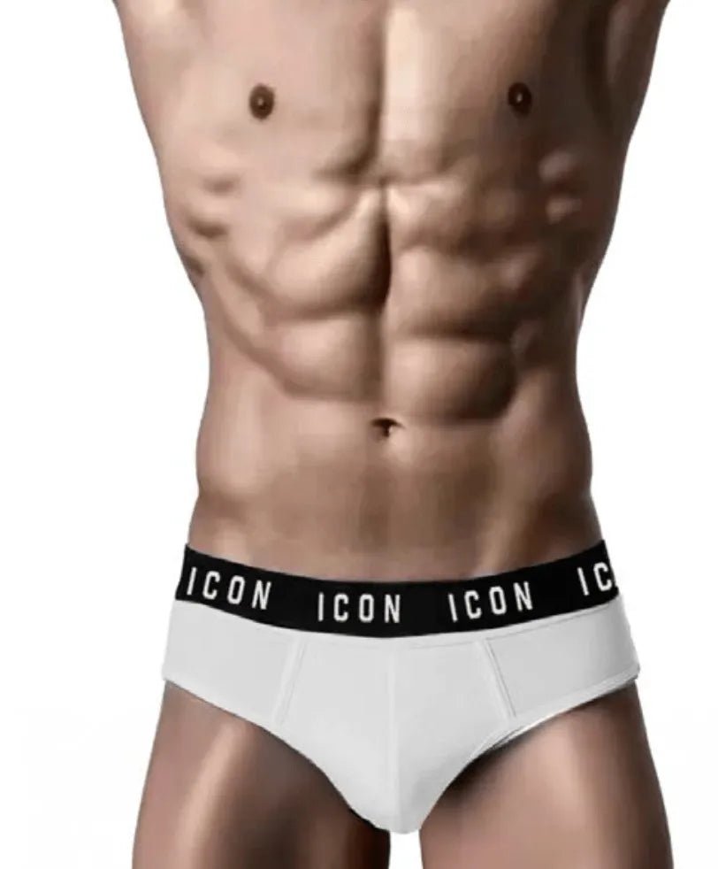 Confezione da 3 Slip uomo ICON cotone bielastico IMU04