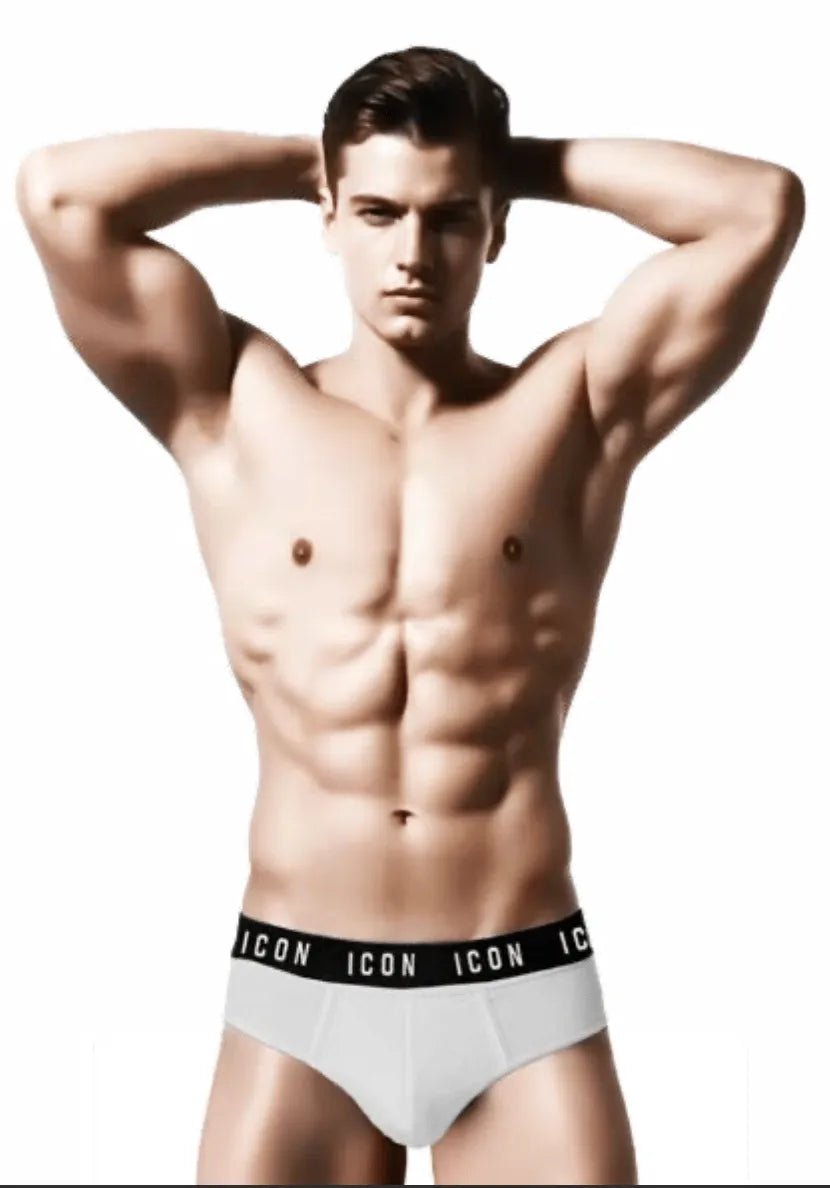 Confezione da 3 Slip uomo ICON cotone bielastico IMU04