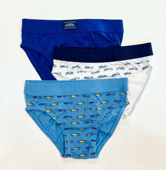 Confezione da 6 slip bambino in cotone bielastico Alvada U4004