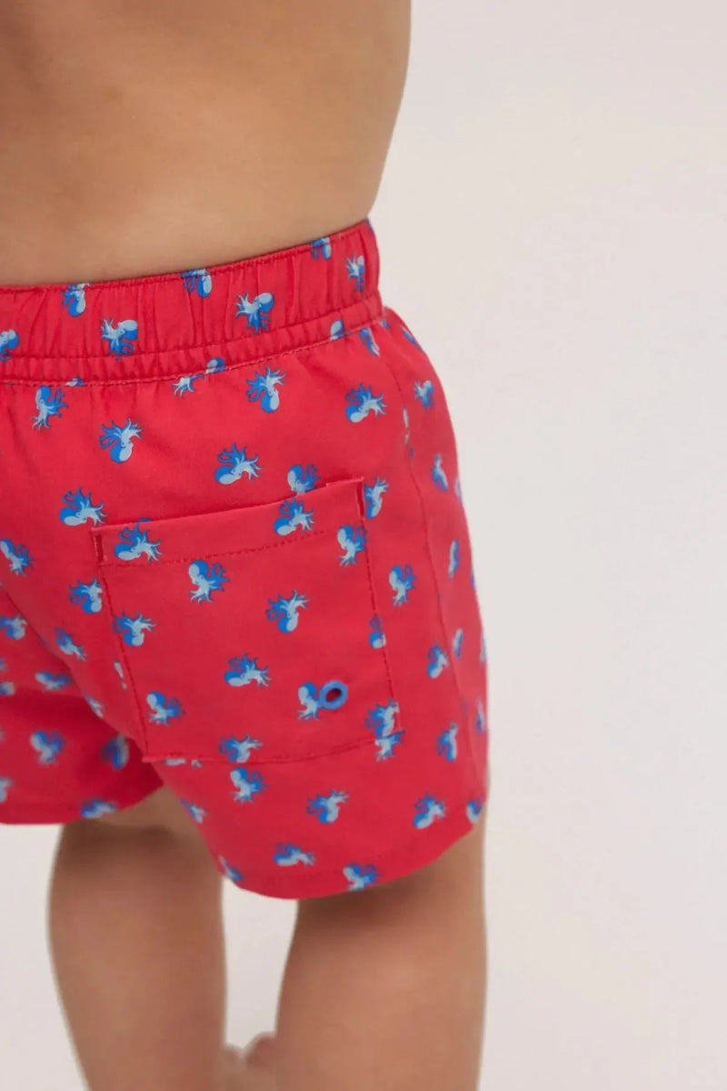 Costume da bagno neonato boxer Ysabel Mora 97073