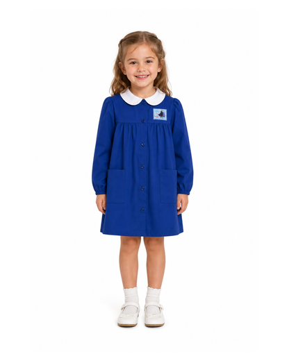 Grembiule scuola elementare Blu bambina Disney ricamo Frozen Made in Italy G202