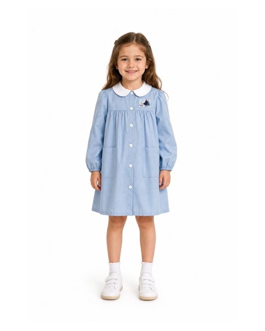 Grembiule scuola elementare celeste bambina Disney ricamo Frozen Made in Italy G202