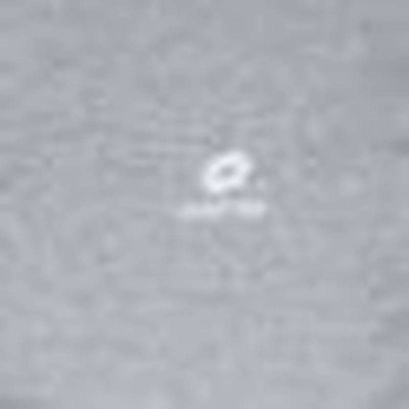 Maglia mezza manica ragazzo in puro cotone Lotto LA1300